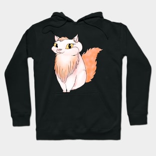 Cat is a beautiful creature Hoodie